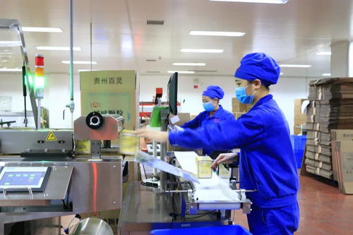 貴州百靈榮獲貴州省抗擊新冠肺炎疫情先進集體稱號，助力出入境服務